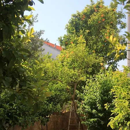 With Parking Space Orebic, Peljesac - 4580 Orebić