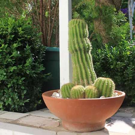 Appartement With Parking Space Orebic, Peljesac - 4580 *