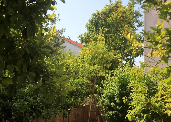 With Parking Space Orebic, Peljesac - 4580 오레비츠