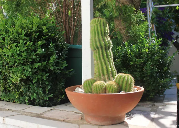 아파트 With Parking Space Orebic, Peljesac - 4580 *